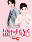 盛世暖婚