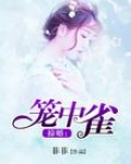 掠婚-笼中雀