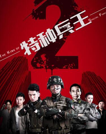 特种兵王大房东