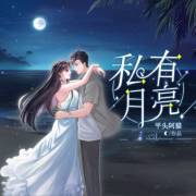 私有月亮