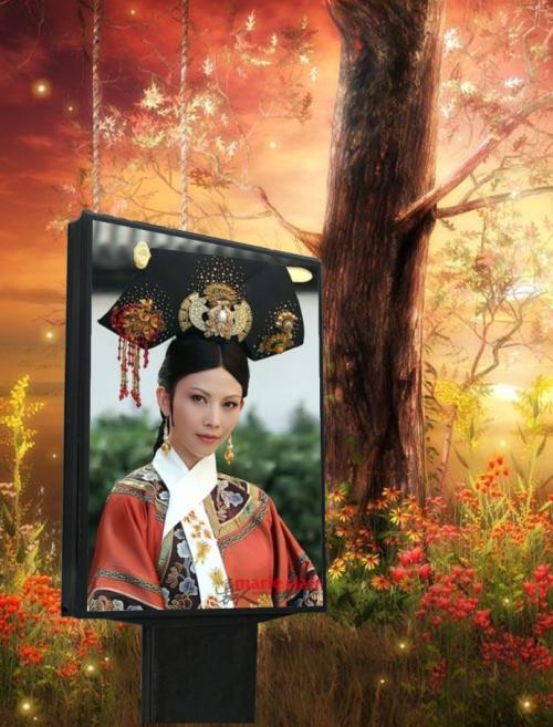 甄嬛传之宜修重生
