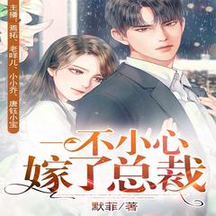 一不小心嫁了总裁