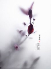 花非花