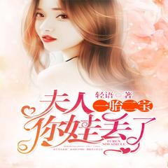 一胎二宝_夫人_你娃丢了